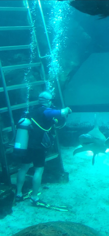 An equipped scuba diver stands underwater beside a ladder, with bubbles and large fish visible.